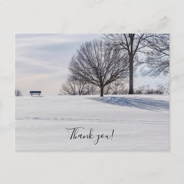 Bench On Snow Covered Hill Thank You Postcard (Front)