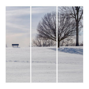 Bench On Snow Covered Hill Triptych