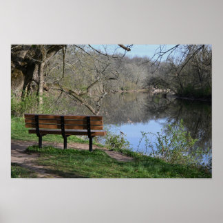 Bench Overlooking Creek Poster