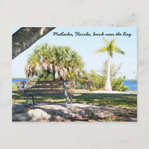 Bench Palm Tree Bay Matlacha Florida Postcard
