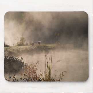 Bench Pond Steam Mouse Pad