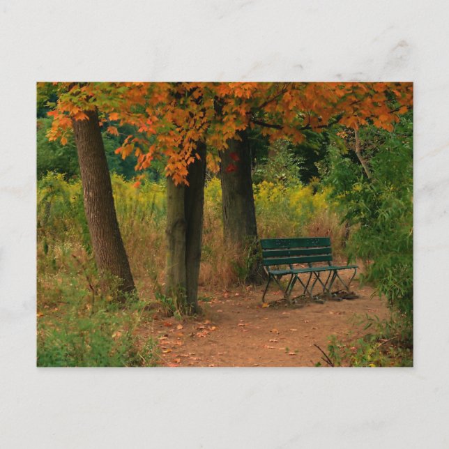 bench postcard (Front)