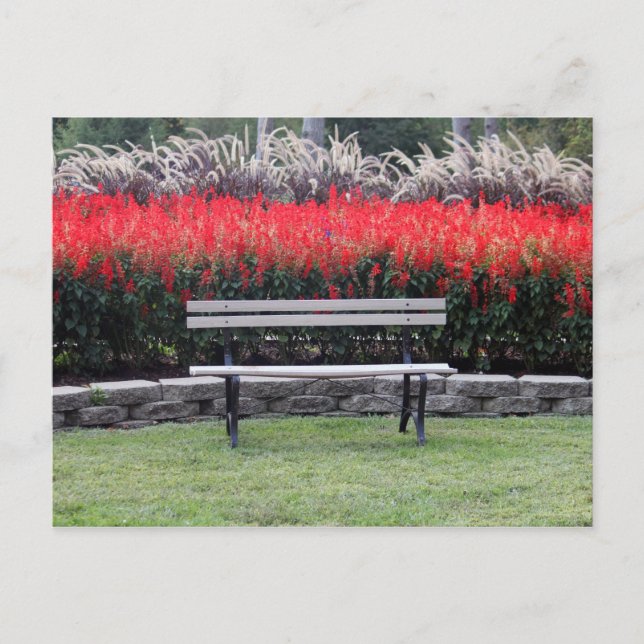 Bench Red Floral Photo Postcard (Front)