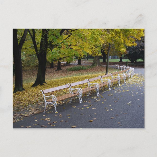 Benches Postcard (Front)