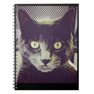 Bender Note book