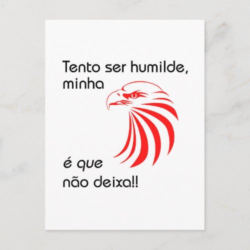 Benfica Postcard