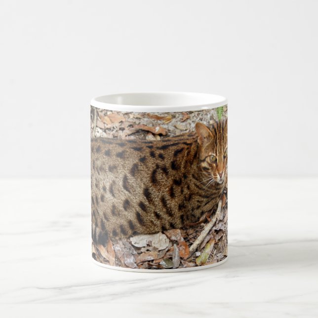 Bengal Cat 002 Coffee Mug (Center)