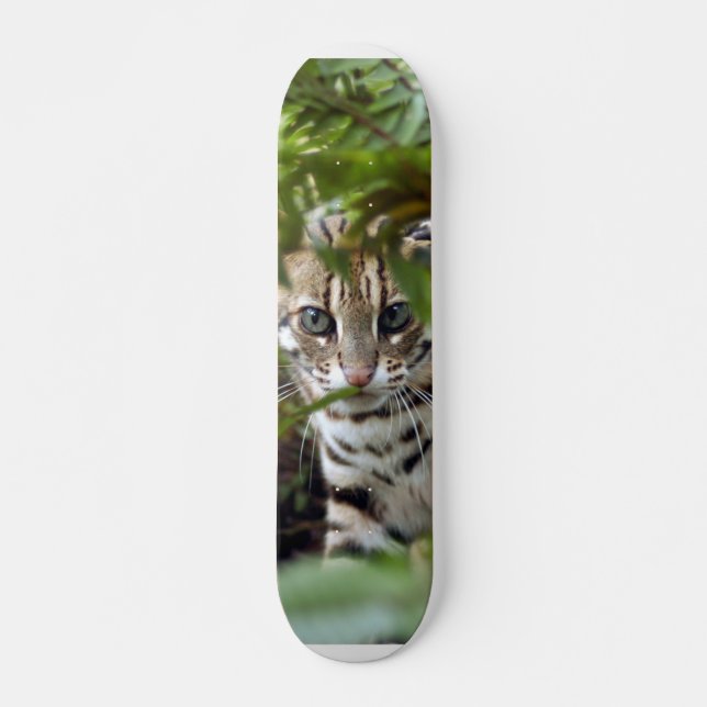 Bengal Cat 022 Skateboard Deck (Front)