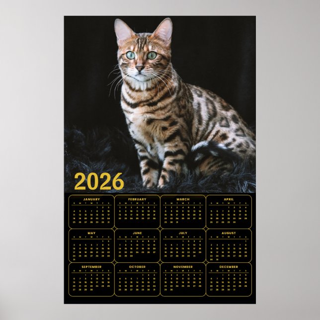 Bengal Cat 2026 Calendar Poster (Front)