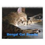 Bengal Cat Beauty Calendar at Zazzle