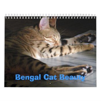 Bengal Cat Beauty Calendar by busycrowstudio at Zazzle