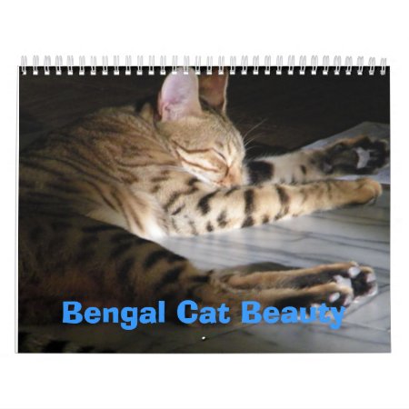Bengal Cat Beauty Calendar