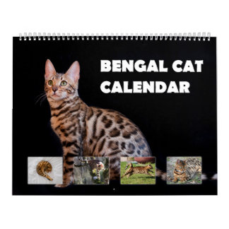 Bengal Cat Calendar