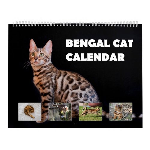 Bengal Cat Calendar