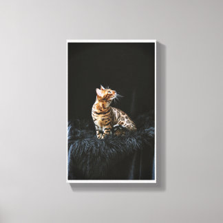 Bengal-cat Canvas Print