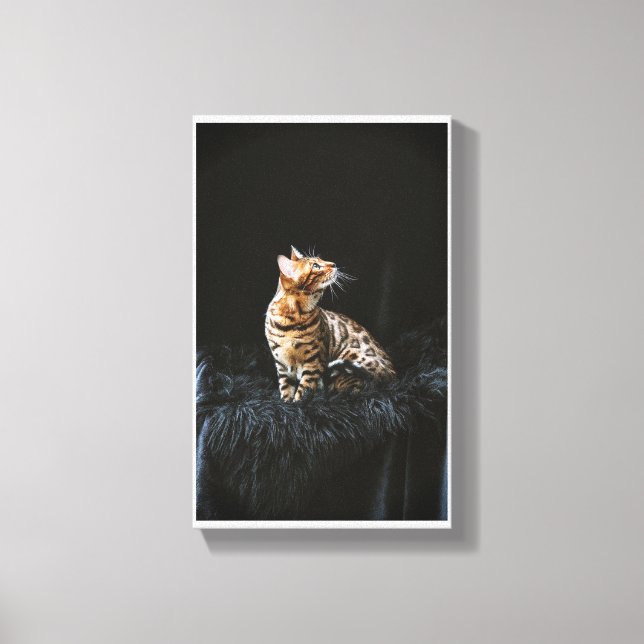 Bengal-cat Canvas Print (Front)