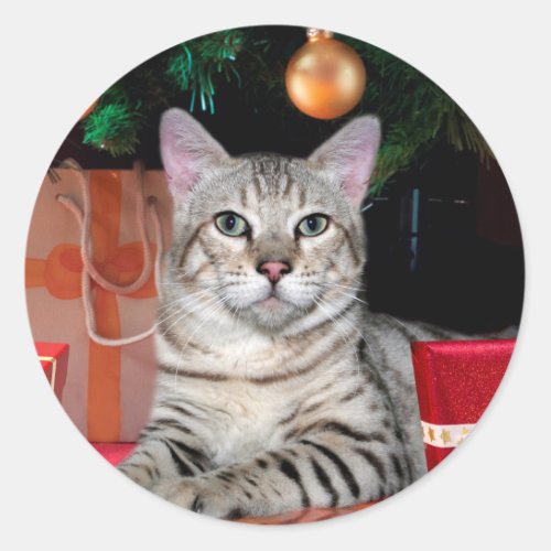 Bengal Cat Christmas Classic Round Sticker