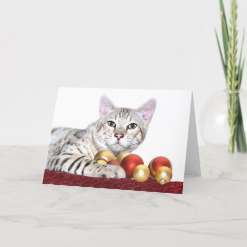 Bengal cat Christmas Holiday Card