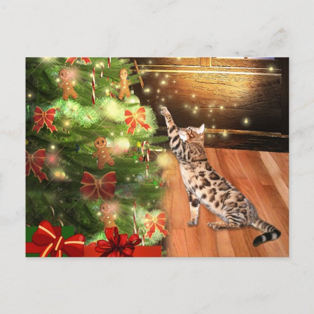 Bengal cat Christmas Holiday Postcard (Front)