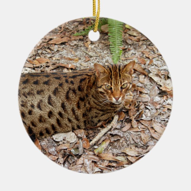 Bengal Cat Christmas Ornament (Front)