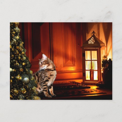 Bengal Cat Christmas Postcard