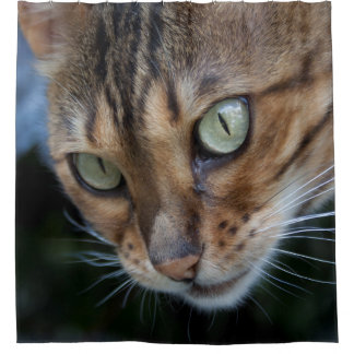 Bengal Cat Close-Up Shower Curtain