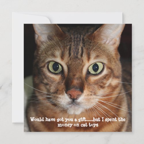 Bengal Cat Face Photo Would have got you a gift Holiday Card