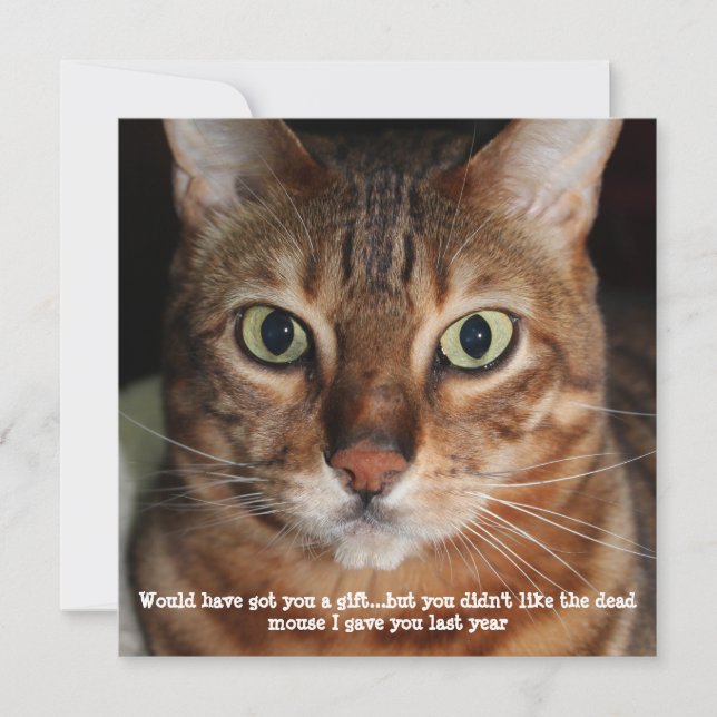 Bengal Cat Face Photo "Would have got you a gift" Holiday Card (Front)