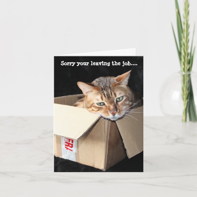 Bengal cat greetings card "Sorry your leaving..... (Front)