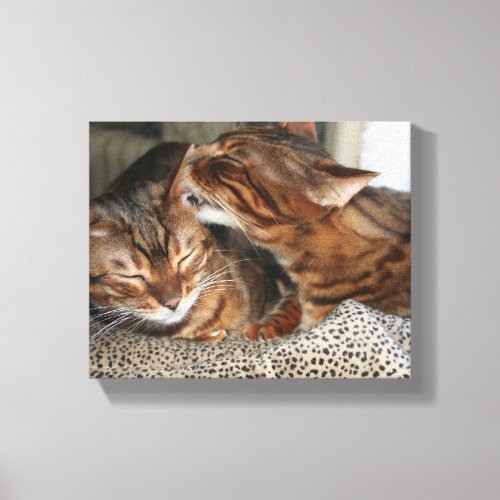 Bengal Cat Kiss Canvas Print