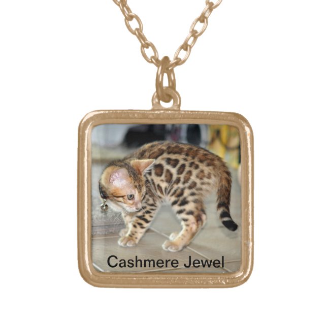 Bengal Cat Kitten photo locket necklace (Front)