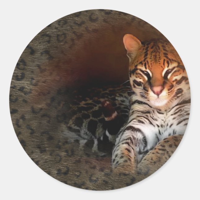 Bengal Cat/Kitty Stickers (Front)