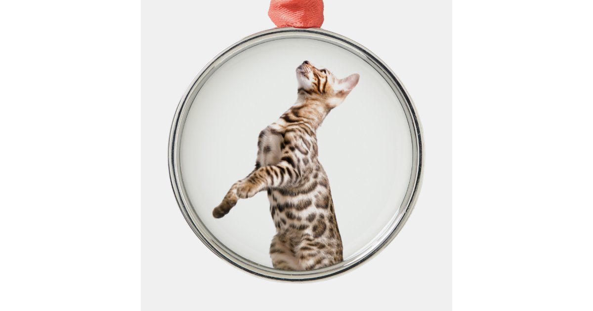 persian cat garden ornament
