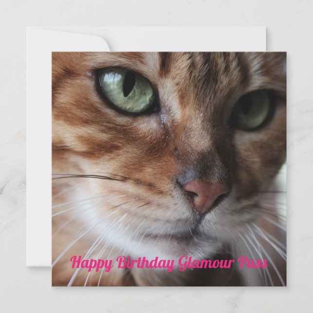 Bengal Cat Photograph Birthday Day Card (Front)
