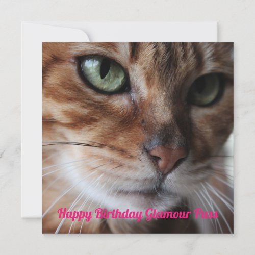 Bengal Cat Photograph Birthday Day Card