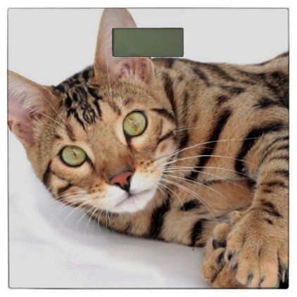 Bengal cat portrait bathroom scale