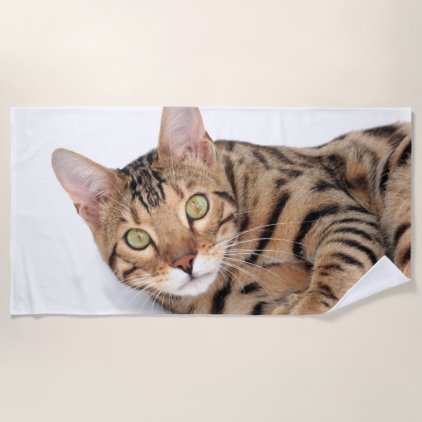 Bengal cat portrait beach towel