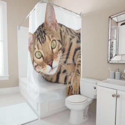 Bengal cat portrait shower curtain