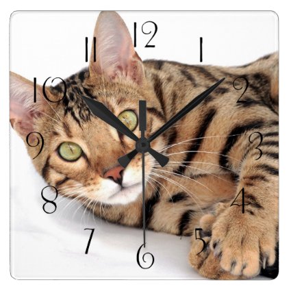 Bengal cat portrait square wall clock