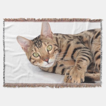 Bengal cat portrait throw