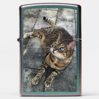 Bengal Cat Sleeping Bengal  Zippo Lighter