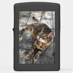 Bengal Cat Sleeping Bengal  Zippo Lighter
