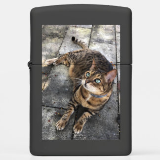 Bengal Cat Sleeping Bengal  Zippo Lighter