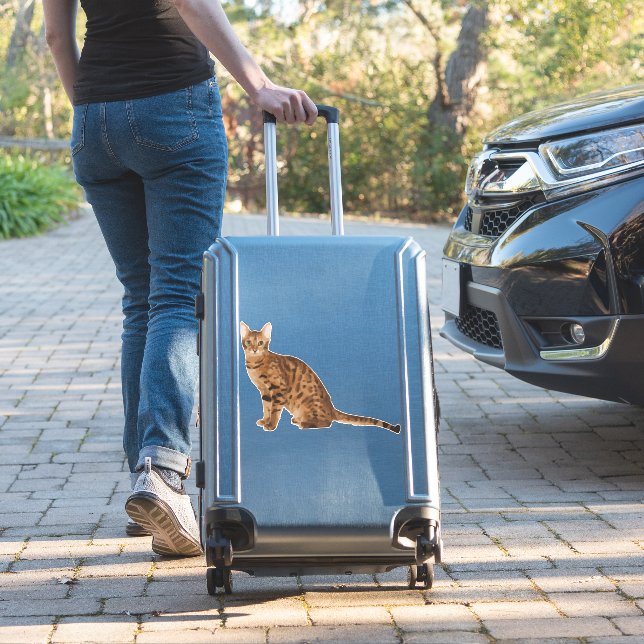 Bengal Cat  Sticker (Suitcase Insitu)