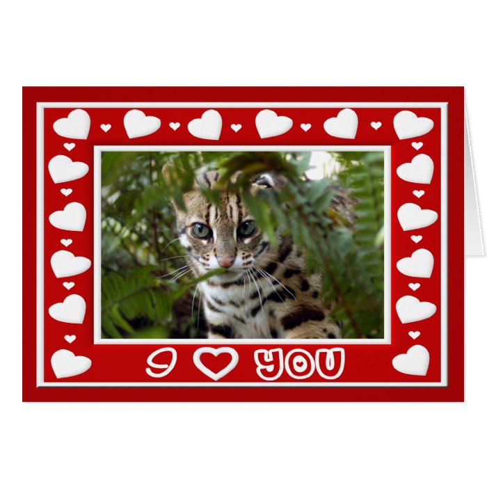 Bengal Cat Valentine Greeting Card & Note Card
