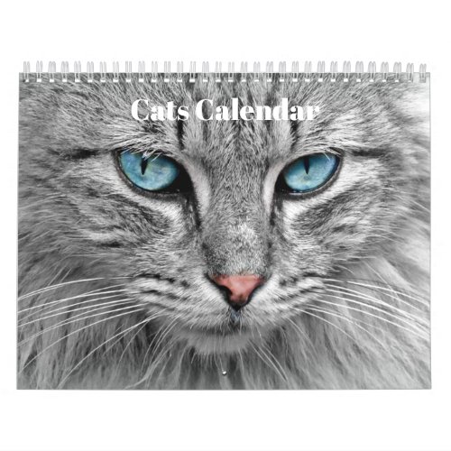 Bengal Cats 2023 Calendar