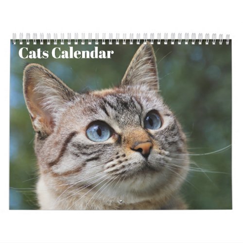 Bengal Cats 2024 Calendar