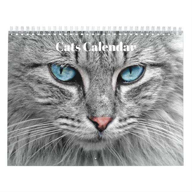 Bengal Cats 2026 Calendar (Cover)