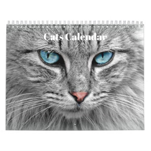 Bengal Cats 2026 Calendar