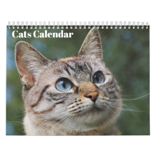 Bengal Cats 2027 Calendar